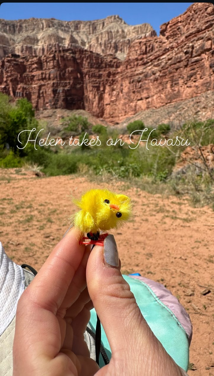 Helen takes on Havasu