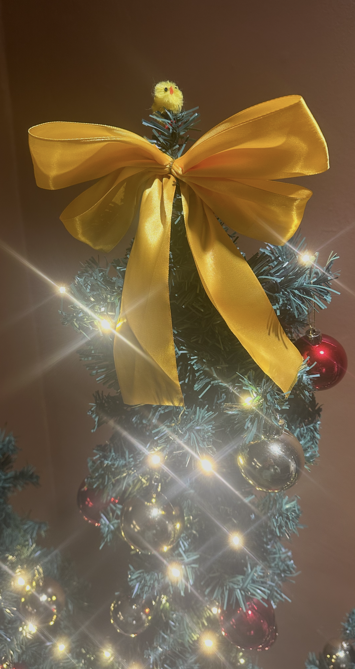 Helen at the top of the tree